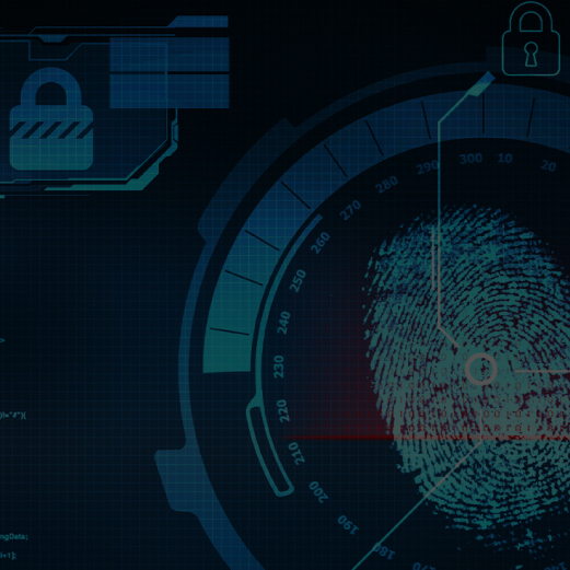 Role of Cyber Forensics in Criminal Case