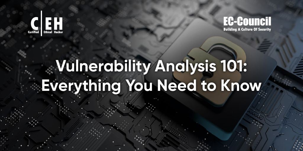 What Is Vulnerability Analysis?