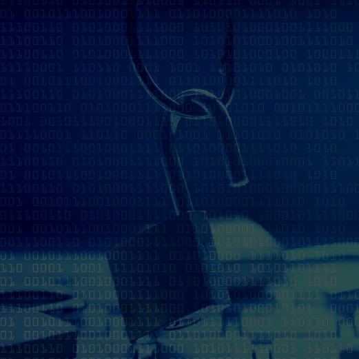 Penetration Testing Prevent Social Engineering Attacks