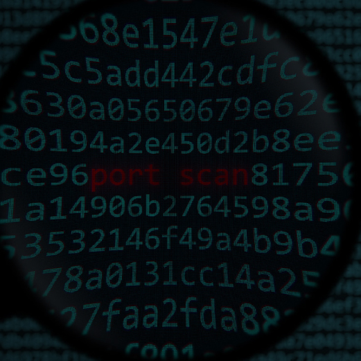 Network Ports and Port Scanning Techniques