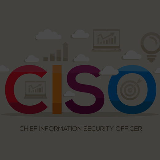 Chief Information Security Officer (CISO)