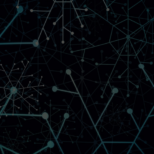 Networks in Penetration Testing