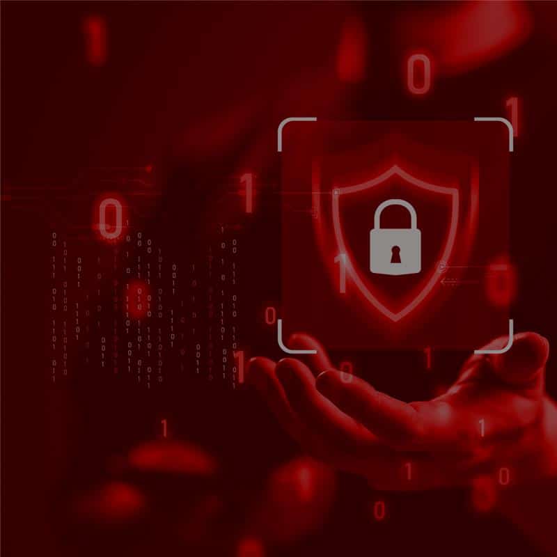 Why Cybersecurity Skills Are Crucial for Entry-Level Tech Roles in 2025